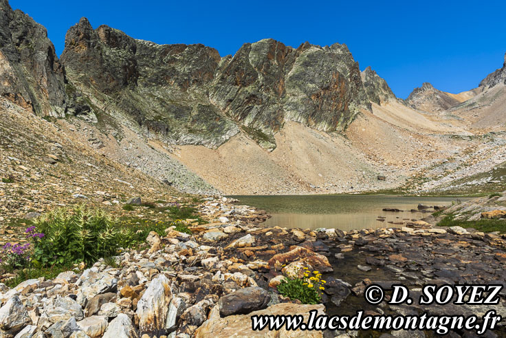 Photo n202207161
Lac Blanc du Mont Thabor (2615m) (Valle troite, Brianonnais, Hautes-Alpes)
Clich Dominique SOYEZ
Copyright Reproduction interdite sans autorisation
