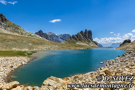 Lac Blanc du Mont Thabor (2615m)
(Valle troite, Brianonnais, Hautes-Alpes)
Clich Dominique SOYEZ
Copyright Reproduction interdite sans autorisation