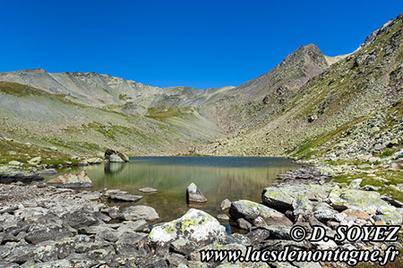 Lac Chardonnet du Mont Thabor (2599m)
(Valle troite, Brianonnais, Hautes-Alpes)
Clich Dominique SOYEZ
Copyright Reproduction interdite sans autorisation