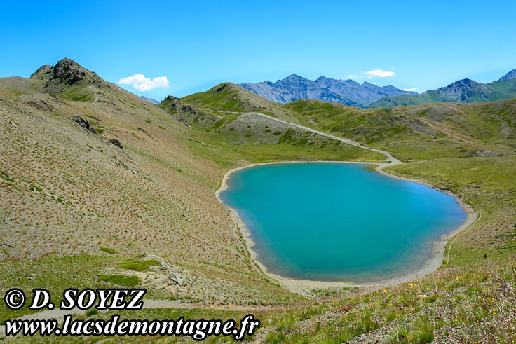 Photo n201607136
Lac Gignoux (2329m) (Brianonnais, Hautes-Alpes)
Clich Dominique SOYEZ
Copyright
Reproduction interdite sans autorisation