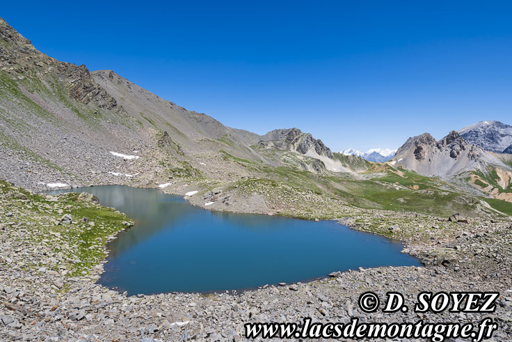 Photo n202507042
Lac Long du Vallon (Nvache) (2643m) (Brianonnais, Hautes-Alpes)
Clich Dominique SOYEZ
Copyright Reproduction interdite sans autorisation