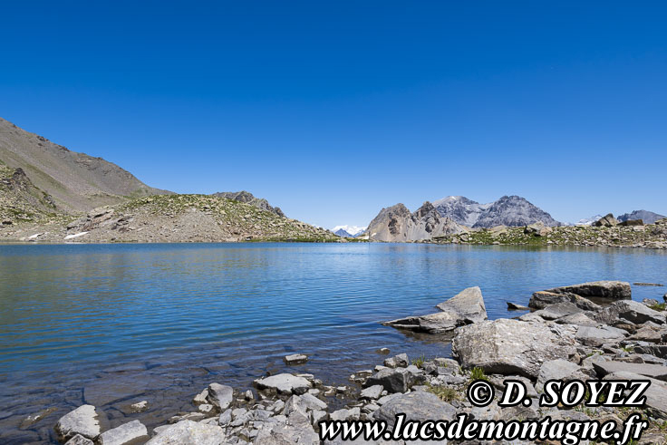 Photo n202507043
Lac Long du Vallon (Nvache) (2643m) (Brianonnais, Hautes-Alpes)
Clich Dominique SOYEZ
Copyright Reproduction interdite sans autorisation