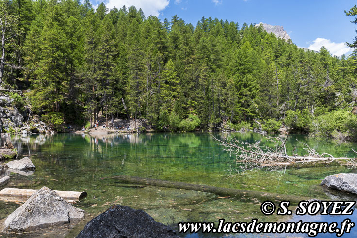 Photo n202307067
Lac Vert (1834m) (Valle Etroite, Brianonnais, Hautes-Alpes)
Clich Serge SOYEZ
Copyright Reproduction interdite sans autorisation