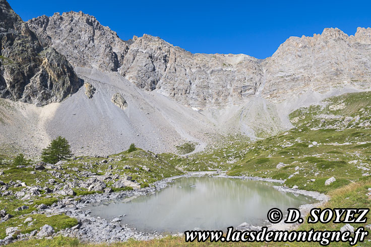 Photo n202507067
Lac de Priv (2306m) (Brianonnais, Hautes-Alpes)
Clich Dominique SOYEZ
Copyright Reproduction interdite sans autorisation