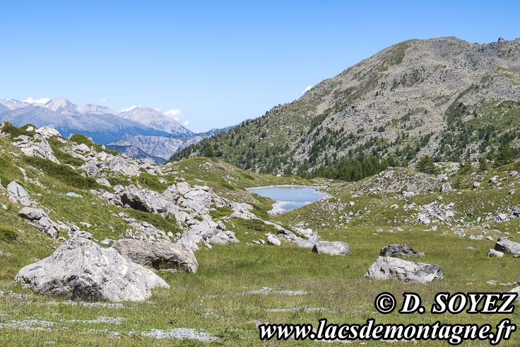 Photo n202507076
Lac de Priv (2306m) (Brianonnais, Hautes-Alpes)
Clich Dominique SOYEZ
Copyright Reproduction interdite sans autorisation