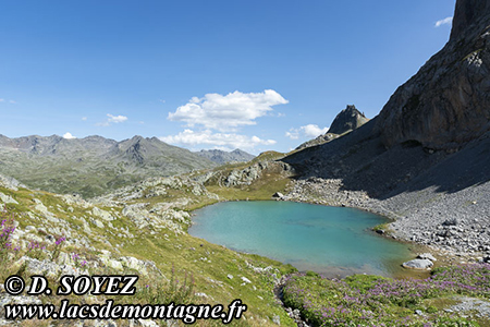 Lac de la Clare (2433m)
(Brianonnais, Hautes-Alpes)
Clich Dominique SOYEZ
Copyright Reproduction interdite sans autorisation