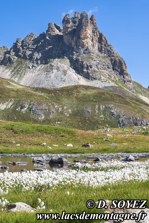 Photo n202407128
Lacs de la Grande Tempte (2480m) (Valle troite, Brianonnais, Hautes-Alpes)
Clich Dominique SOYEZ
Copyright Reproduction interdite sans autorisation