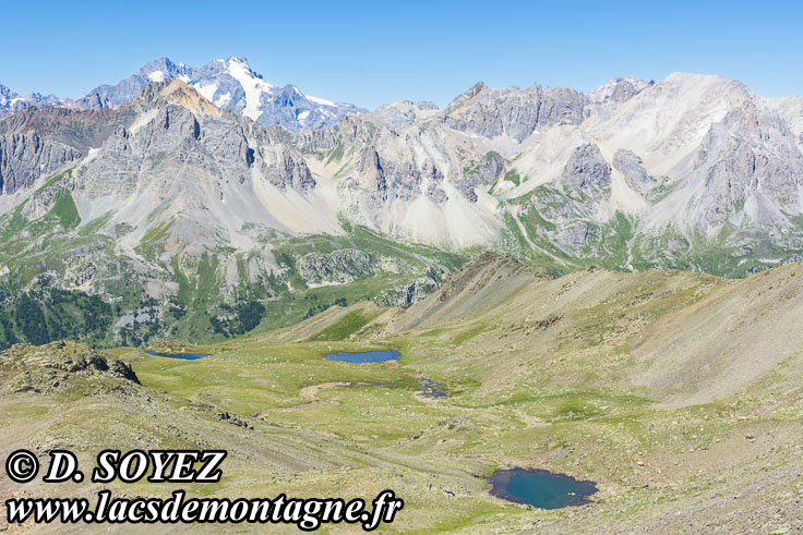 Photo n202207122
Lacs des Gardioles  (Brianonnais, Hautes-Alpes)
Clich Dominique SOYEZ
Copyright Reproduction interdite sans autorisation