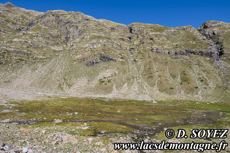 Photo n�202607059
Lac Faravel (2386m) (�crins, Hautes-Alpes)
Clich� Dominique SOYEZ
Copyright Reproduction interdite sans autorisation