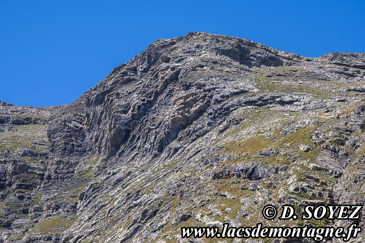 Photo n�202607063
Lac Faravel (2386m) (�crins, Hautes-Alpes)
Clich� Dominique SOYEZ
Copyright Reproduction interdite sans autorisation