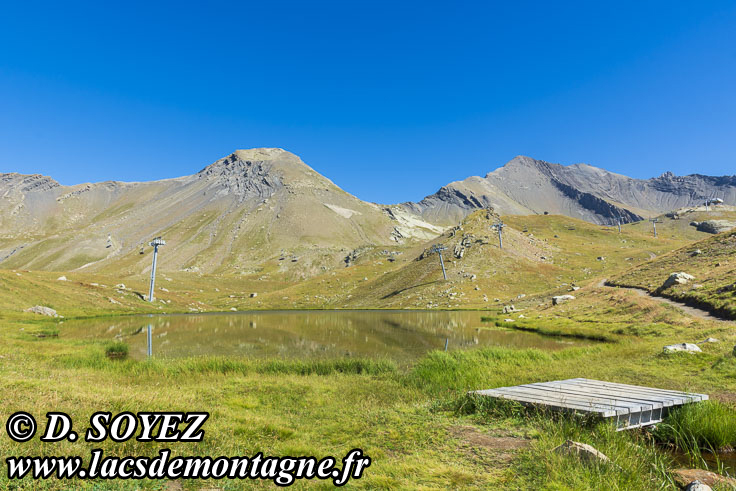 202207080
Lac Long (2515m) (Champsaur, crins, Hautes-Alpes)
Clich Dominique SOYEZ
Copyright Reproduction interdite sans autorisation