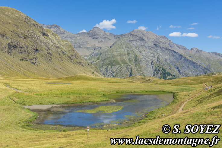 202207101
Lac de Jujal (2180m) (Champsaur, crins, Hautes-Alpes)
Clich Serge SOYEZ
Copyright Reproduction interdite sans autorisation