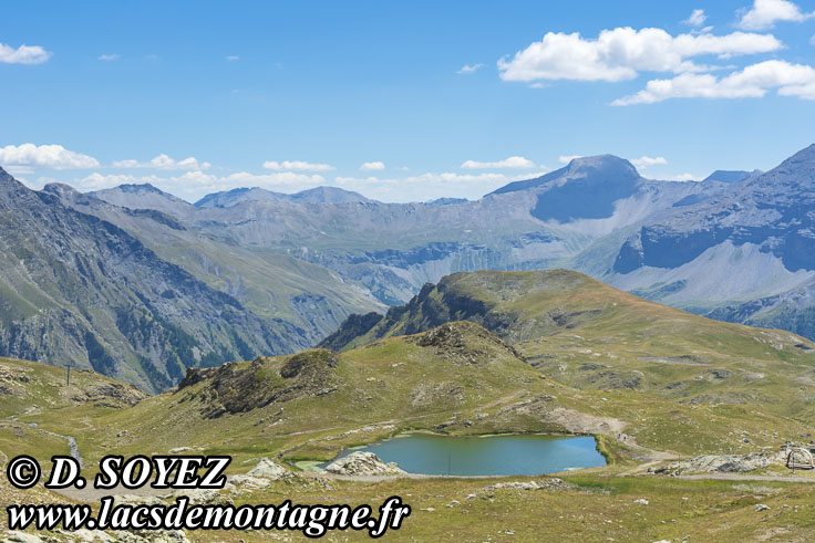 202207093
Lac des Jumeaux (2472m) (Champsaur, crins, Hautes-Alpes)
Clich Dominique SOYEZ
Copyright Reproduction interdite sans autorisation