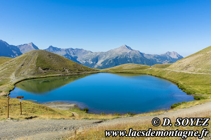 202207079
Lac des Sirnes (2390m) (Champsaur, crins, Hautes-Alpes)
Clich Dominique SOYEZ
Copyright Reproduction interdite sans autorisation