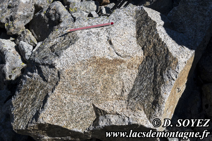 Photo n202307072
Granite de Ptarel aux Lacs de Ptarel (2095m) (Valgaudemar, crins, Hautes-Alpes)
Clich Dominique SOYEZ
Copyright Reproduction interdite sans autorisation