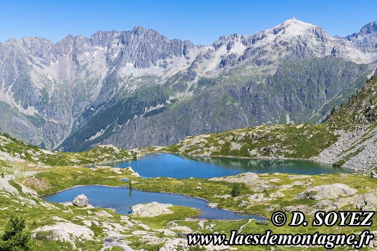 Photo n202307074
Lacs de Ptarel (2095m) (Valgaudemar, crins, Hautes-Alpes)
Clich Dominique SOYEZ
Copyright Reproduction interdite sans autorisation