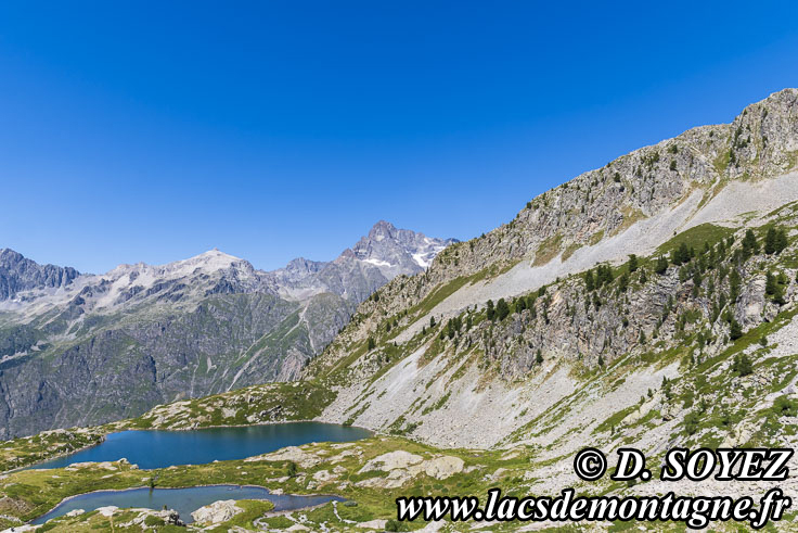 Photo n202307083
Lacs de Ptarel (2095m) (Valgaudemar, crins, Hautes-Alpes)
Clich Dominique SOYEZ
Copyright Reproduction interdite sans autorisation