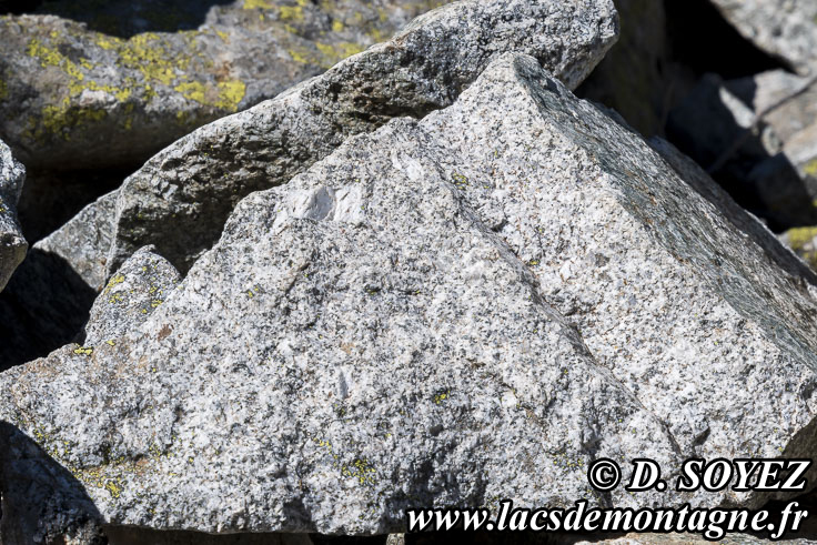 Photo n202307084
Granite de Ptarel aux Lacs de Ptarel (2095m) (Valgaudemar, crins, Hautes-Alpes)
Clich Dominique SOYEZ
Copyright Reproduction interdite sans autorisation