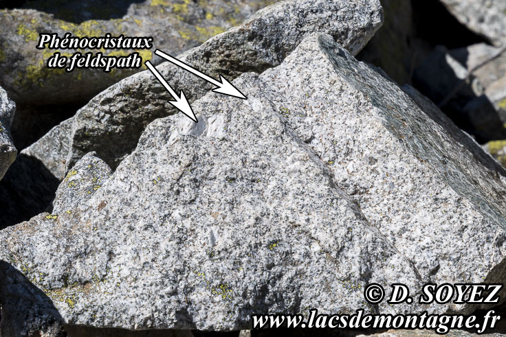 Photo n202307084
Granite de Ptarel aux Lacs de Ptarel (2095m) (Valgaudemar, crins, Hautes-Alpes)
Clich Dominique SOYEZ
Copyright Reproduction interdite sans autorisation