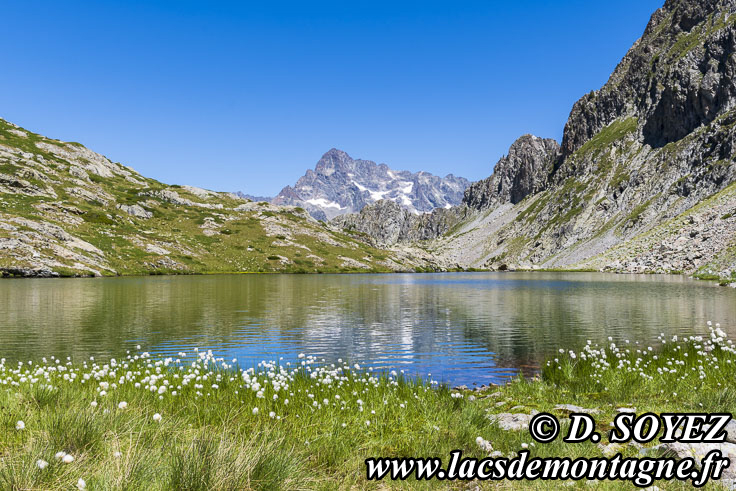 Photo n202307078
Lac de Sebeyras (grand) (2300m). (Valgaudemar, crins, Hautes-Alpes)
Clich Dominique SOYEZ
Copyright Reproduction interdite sans autorisation