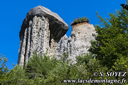 Les Demoiselles de Pontis
au SUD-OUEST de Savines-le-Lac
(Embrunais, Hautes-Alpes)
Clich Serge SOYEZ
Copyright Reproduction interdite sans autorisation