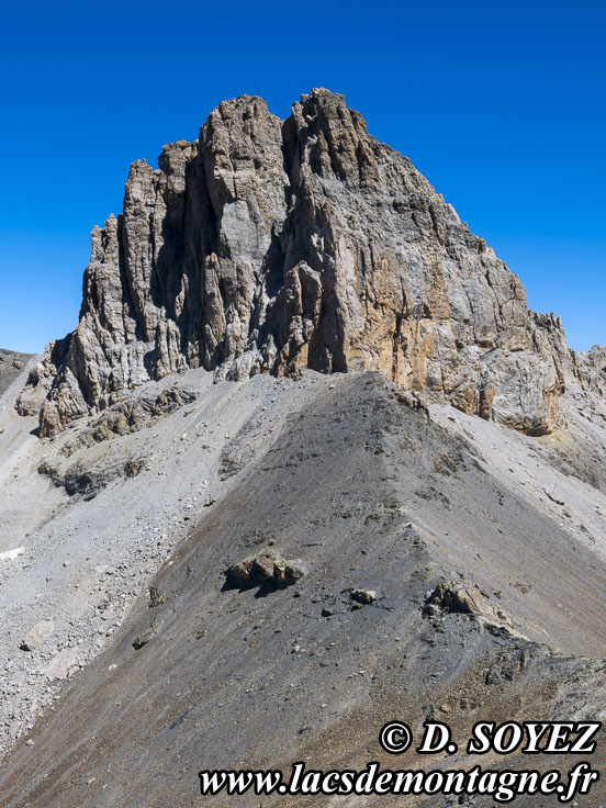 Photo n202507059
Pic des Houerts ou Pointe Jean Rostand (3225m)
(Guillestrois, Queyras, Hautes-Alpes)
Clich Dominique SOYEZ
Copyright Reproduction interdite sans autorisation