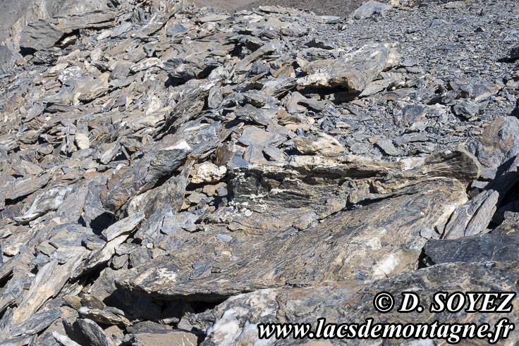 Photo n202507060
La Mortice NORD (3186m) (Guillestrois, Queyras, Hautes-Alpes)
Clich Dominique SOYEZ
Copyright Reproduction interdite sans autorisation