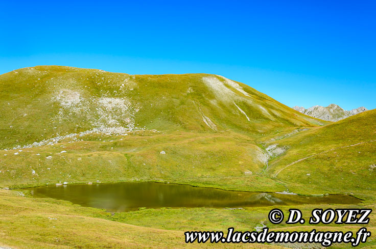 Photo n201507130
Lac de Nal (2453m) (Queyras, Hautes-Alpes)
Clich Dominique SOYEZ
Copyright Reproduction interdite sans autorisation