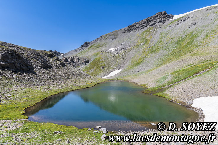 202407094
Lac de Rasis (2795m) (Queyras, Hautes-Alpes)
Clich Dominique SOYEZ
Copyright Reproduction interdite sans autorisation