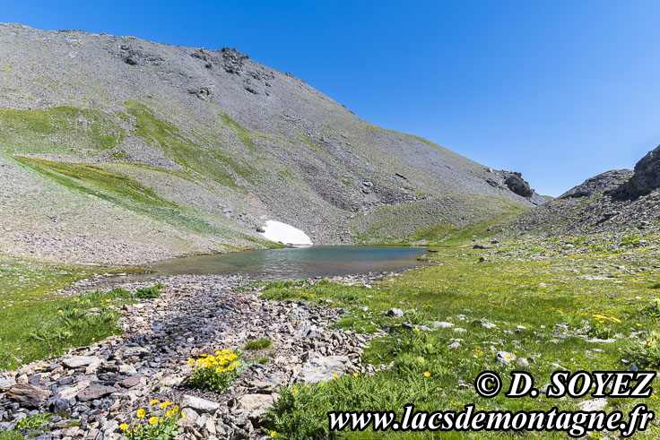 202407095
Lac de Rasis (2795m) (Queyras, Hautes-Alpes)
Clich Dominique SOYEZ
Copyright Reproduction interdite sans autorisation