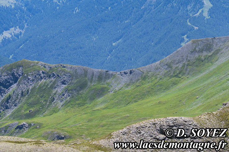 202407097
Lac de Rasis (2795m) (Queyras, Hautes-Alpes)
Clich Dominique SOYEZ
Copyright Reproduction interdite sans autorisation