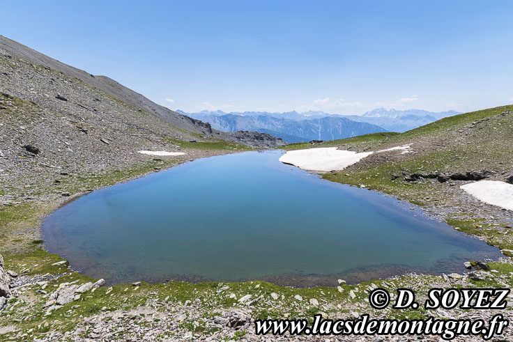 202407099
lac du col de Rasis (2828m) (Queyras, Hautes-Alpes)
Clich Dominique SOYEZ
Copyright Reproduction interdite sans autorisation