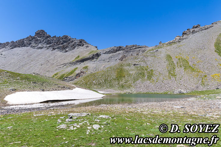 202407101
lac du col de Rasis (2828m) (Queyras, Hautes-Alpes)
Clich Dominique SOYEZ
Copyright Reproduction interdite sans autorisation