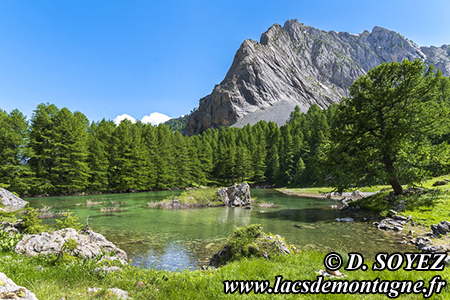 Lac du Lauzon de Furfande (2030m)
(Queyras, Hautes-Alpes)
Clich Dominique SOYEZ
Copyright Reproduction interdite sans autorisation