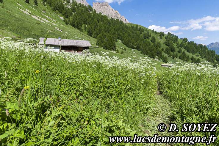 Photo n202407017
Les Chalets de Furfande. (Queyras, Hautes-Alpes)
Clich Dominique SOYEZ
Copyright Reproduction interdite sans autorisation