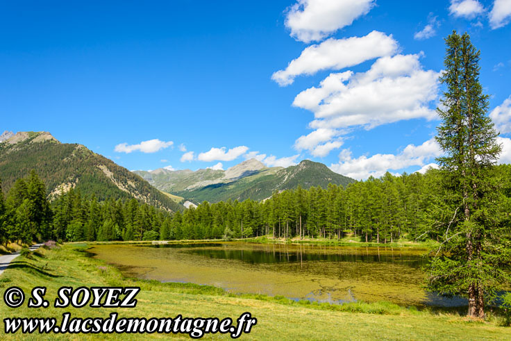 Photo n201607185
Lac de Roue (1847m) (Queyras, Hautes-Alpes)
Clich Serge SOYEZ
Copyright Reproduction interdite sans autorisation