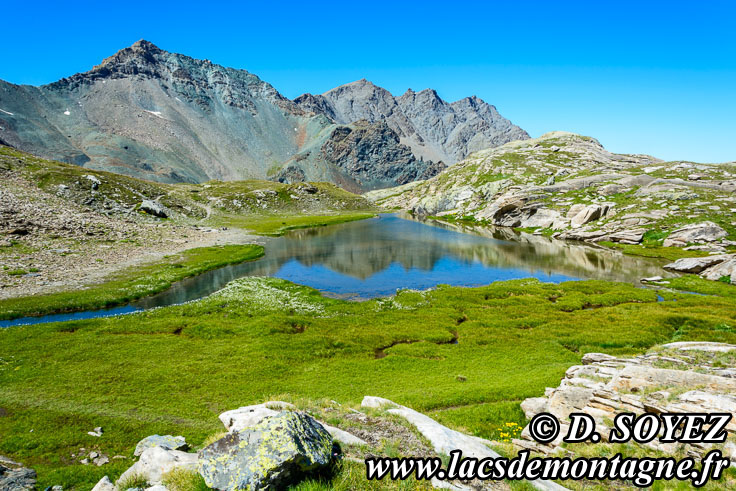 Photo n201607098
Lac Blanchet Infrieur (2746m): un lac au fond de l'ocan  3000m d'altitude! (Queyras, Hautes-Alpes)
Clich Dominique SOYEZ
Copyright Reproduction interdite sans autorisation
