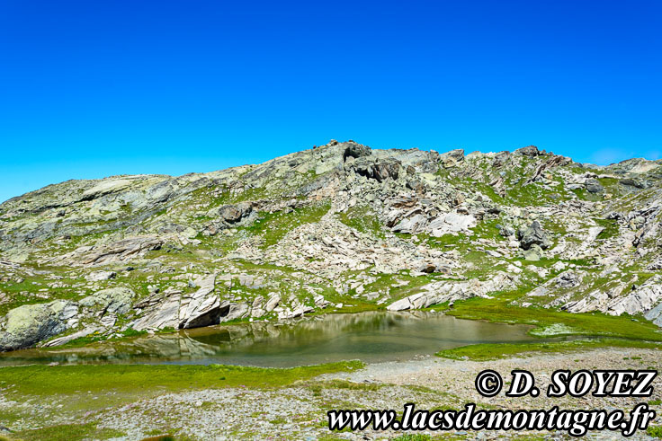 Photo n201607103
Lac Blanchet Infrieur (2746m): un lac au fond de l'ocan  3000m d'altitude! (Queyras, Hautes-Alpes)
Clich Dominique SOYEZ
Copyright Reproduction interdite sans autorisation