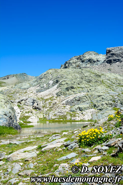 Photo n201607105
Lac Blanchet Infrieur (2746m): un lac au fond de l'ocan  3000m d'altitude! (Queyras, Hautes-Alpes)
Clich Dominique SOYEZ
Copyright Reproduction interdite sans autorisation