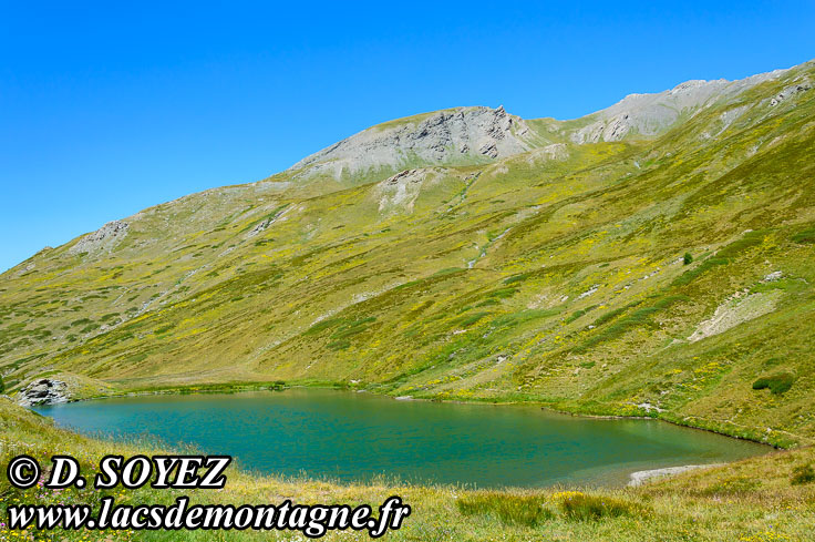 Photo n201507092
Lacs Lacroix ou de Sgure (2383m) (Queyras, Hautes-Alpes)
Clich Dominique SOYEZ
Copyright Reproduction interdite sans autorisation