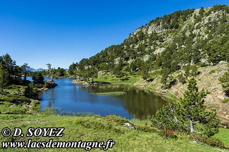 Lac Achard (1920m)
(Chane de Belledonne, Isre)
Clich Dominique SOYEZ
Copyright Reproduction interdite sans autorisation