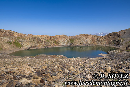 Lac Noir (2780m)
(Les Deux-Alpes, Oisans, crins, Isre)
Clich Dominique SOYEZ
Copyright Reproduction interdite sans autorisation