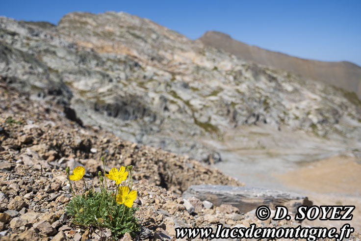 Photo n202507110
Lac Noir des Deux-Alpes (2780m) (Les Deux-Alpes, Oisans, crins, Isre)
Clich Dominique SOYEZ
Copyright Reproduction interdite sans autorisation