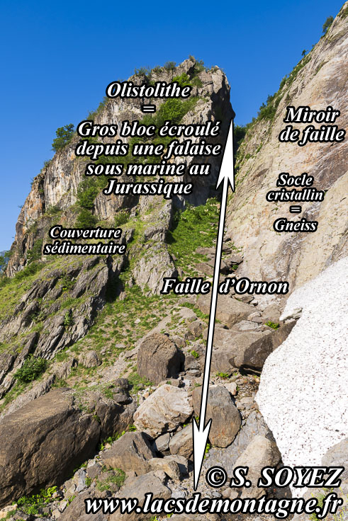 Photo n202506005
Faille d'Ornon (1208m) (Col d'Ornon, Chalp de Chantelouve, Isre)
Clich Serge SOYEZ
Copyright Reproduction interdite sans autorisation