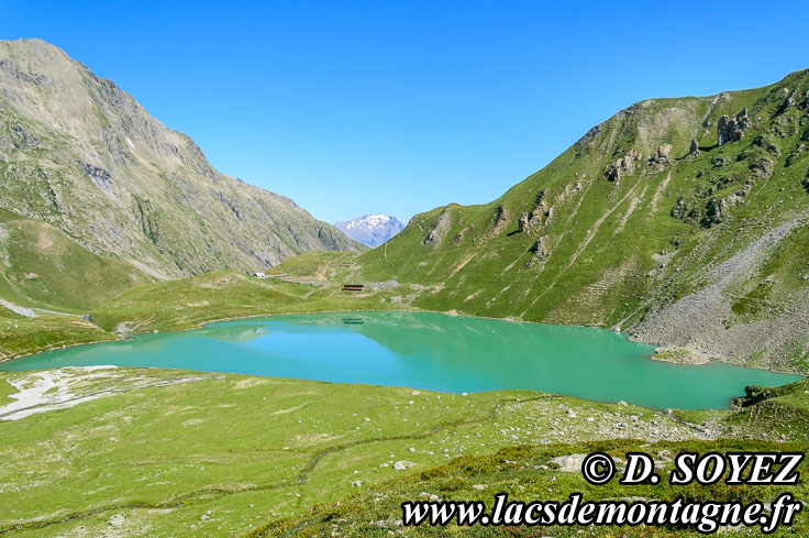 Photo n201308002
Lac de la Muzelle (2105 m) (Oisans, crins, Isre)
Clich Dominique SOYEZ
Copyright Reproduction interdite sans autorisation