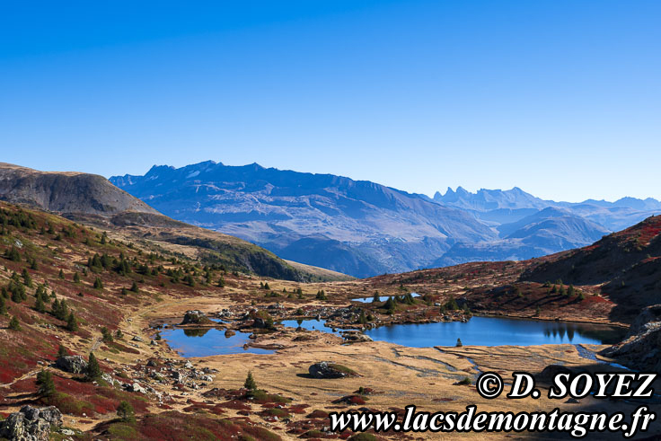 Photo n202510001
Plateau des lacs du Taillefer (Taillefer, Isre)
Clich Dominique SOYEZ
Copyright Reproduction interdite sans autorisation