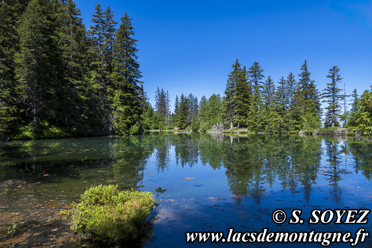 Photo n°202606001
Cliché Serge SOYEZ
Copyright Reproduction interdite sans autorisation Photo n°202606001
Lac Claret du Taillefer (1699m) (Taillefer, Isère)
Cliché Serge SOYEZ
Copyright Reproduction interdite sans autorisation