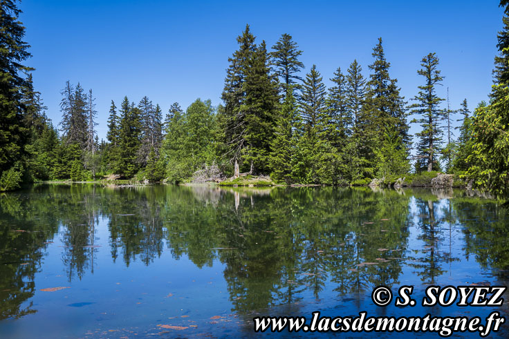 Photo n°202606002
Cliché Serge SOYEZ
Copyright Reproduction interdite sans autorisation Photo n°202606002
Lac Claret du Taillefer (1699m) (Taillefer, Isère)
Cliché Serge SOYEZ
Copyright Reproduction interdite sans autorisation