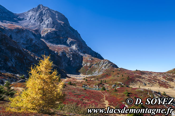 Photo n202510014
Lac Culasson (2050m) (Taillefer, Isre)
Clich Dominique SOYEZ
Copyright Reproduction interdite sans autorisation