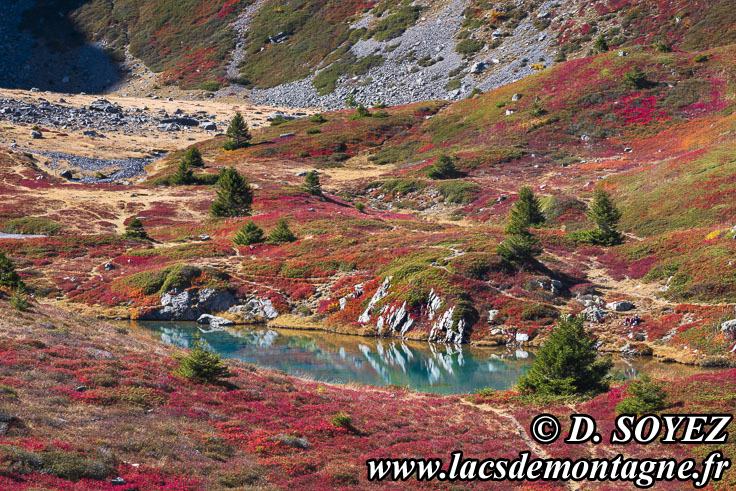 Photo n°202510015
Cliché Dominique SOYEZ
Copyright Reproduction interdite sans autorisation Photo n°202510015
Lac Culasson (2050m) (Taillefer, Isère)
Cliché Dominique SOYEZ
Copyright Reproduction interdite sans autorisation